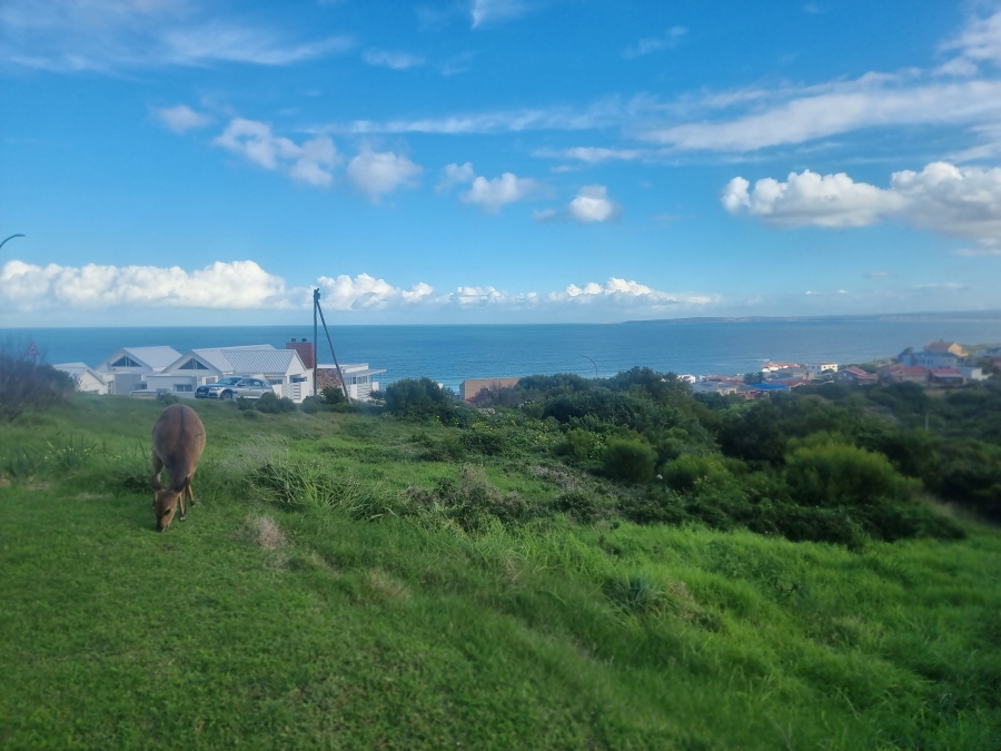0 Bedroom Property for Sale in Dana Bay Western Cape